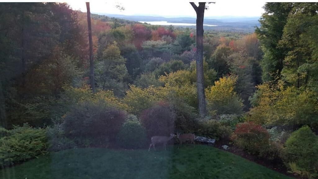 Photo of Outdoor in Town of Olive