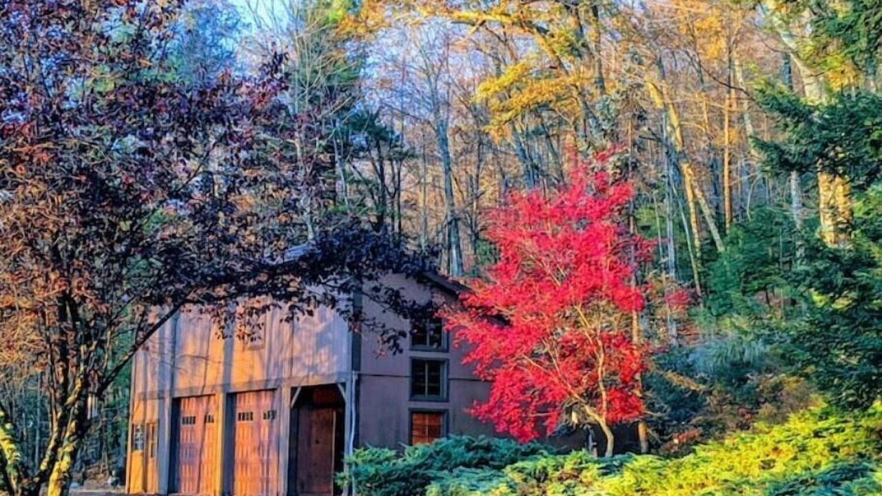 Photo of Outdoor in Town of Olive