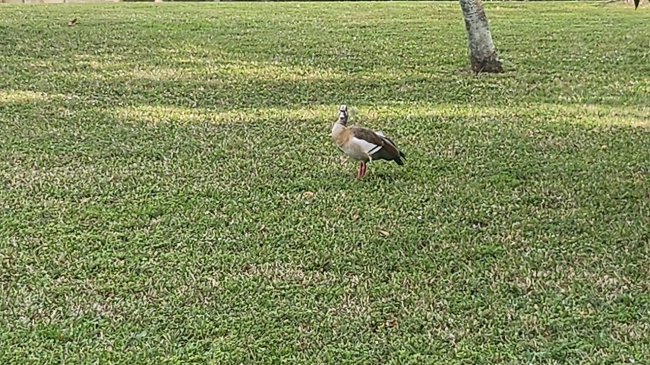 Photo of Outdoor in Plantation