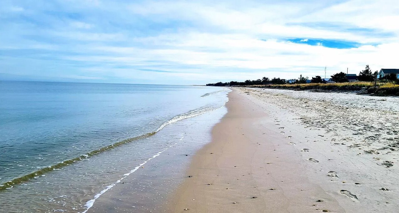 Photo of Others in Slaughter Beach