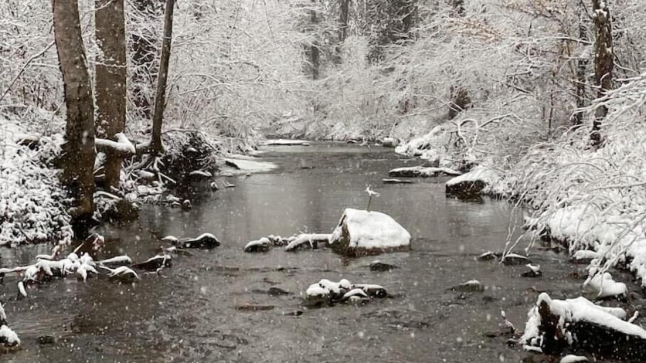 Photo of Outdoor in Oakpark