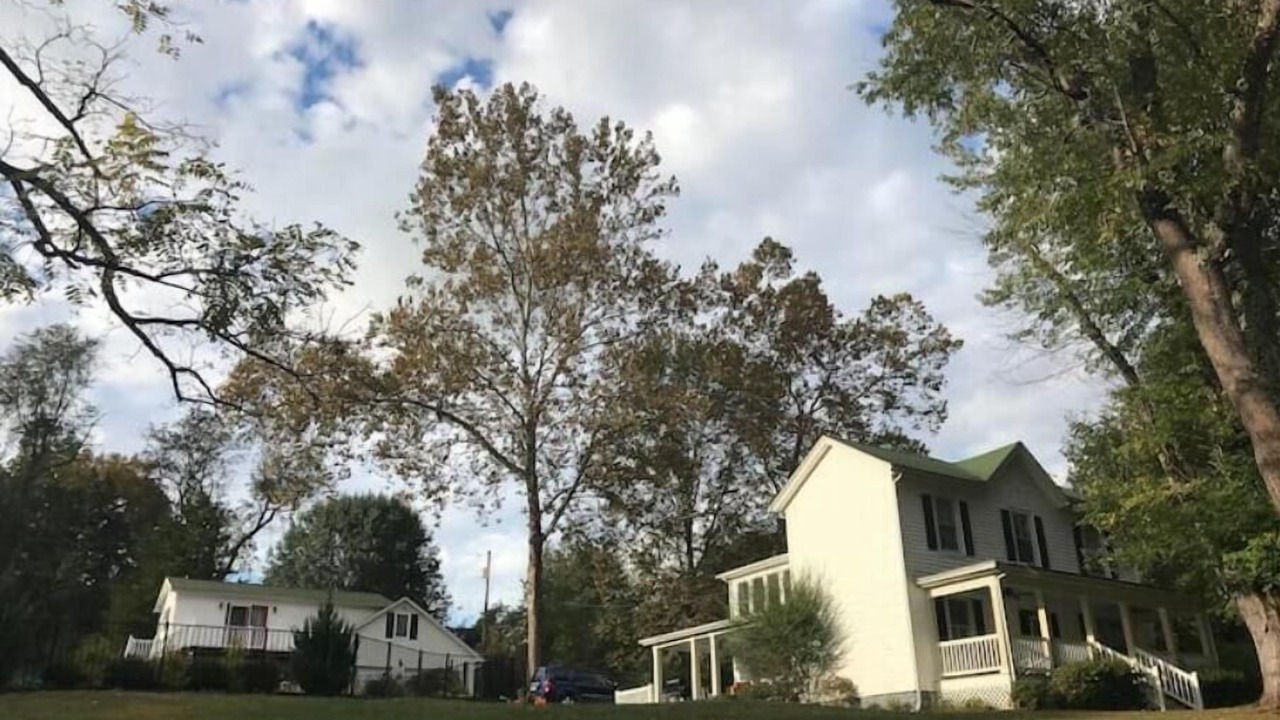 Photo of Outdoor in Oakpark