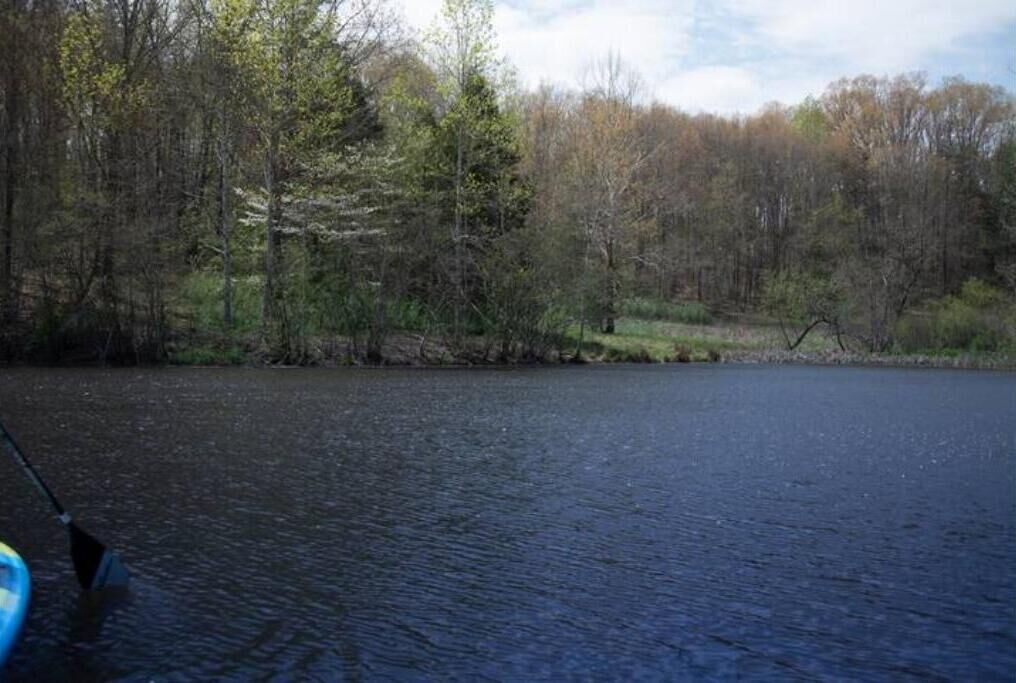 Photo of Outdoor in Stanardsville