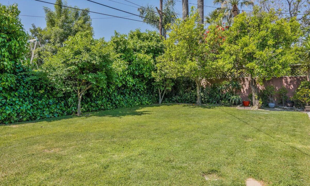 Photo of Outdoor in Valley Glen
