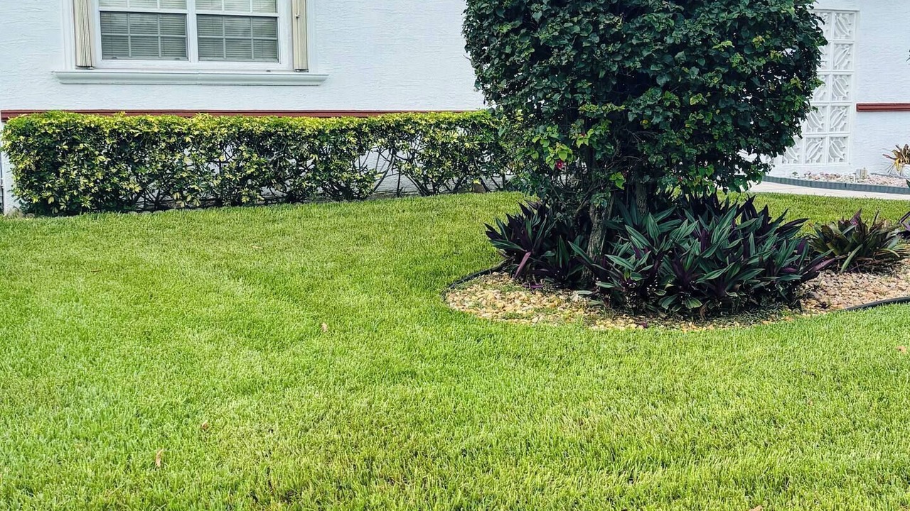Photo of Outdoor in Miramar