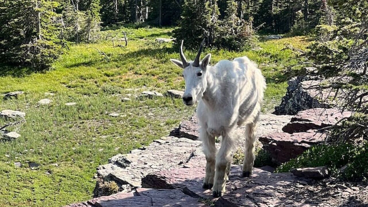 Photo of Others in Kalispell