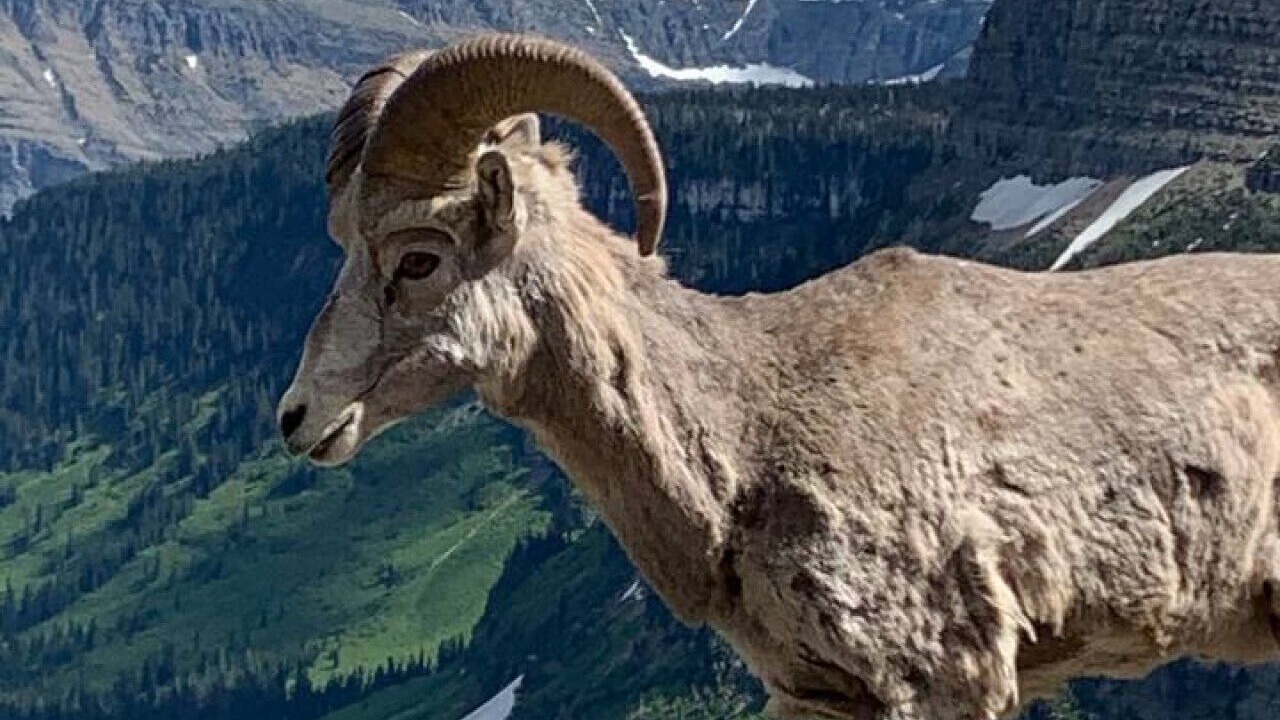 Photo of Others in Kalispell