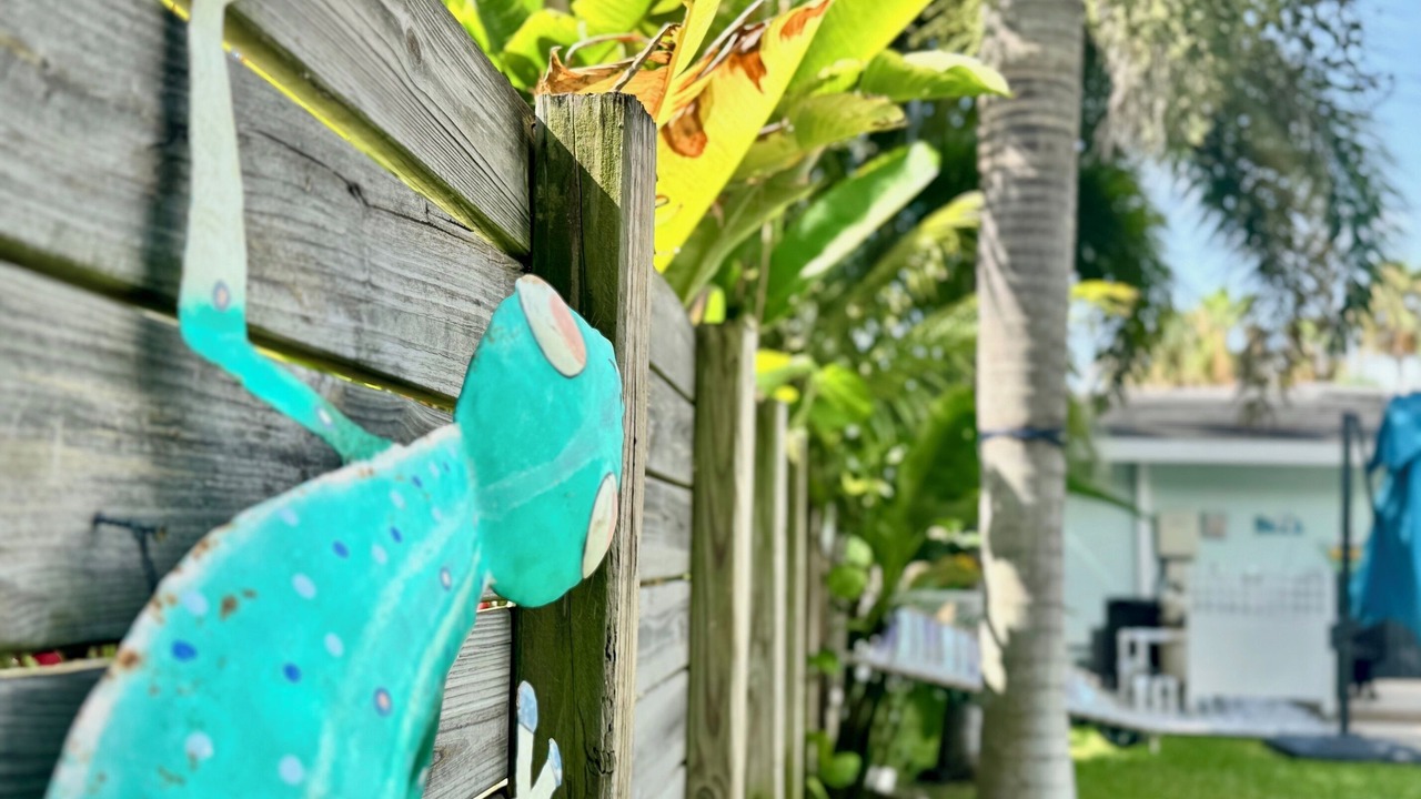 Photo of Outdoor in Deerfield Beach
