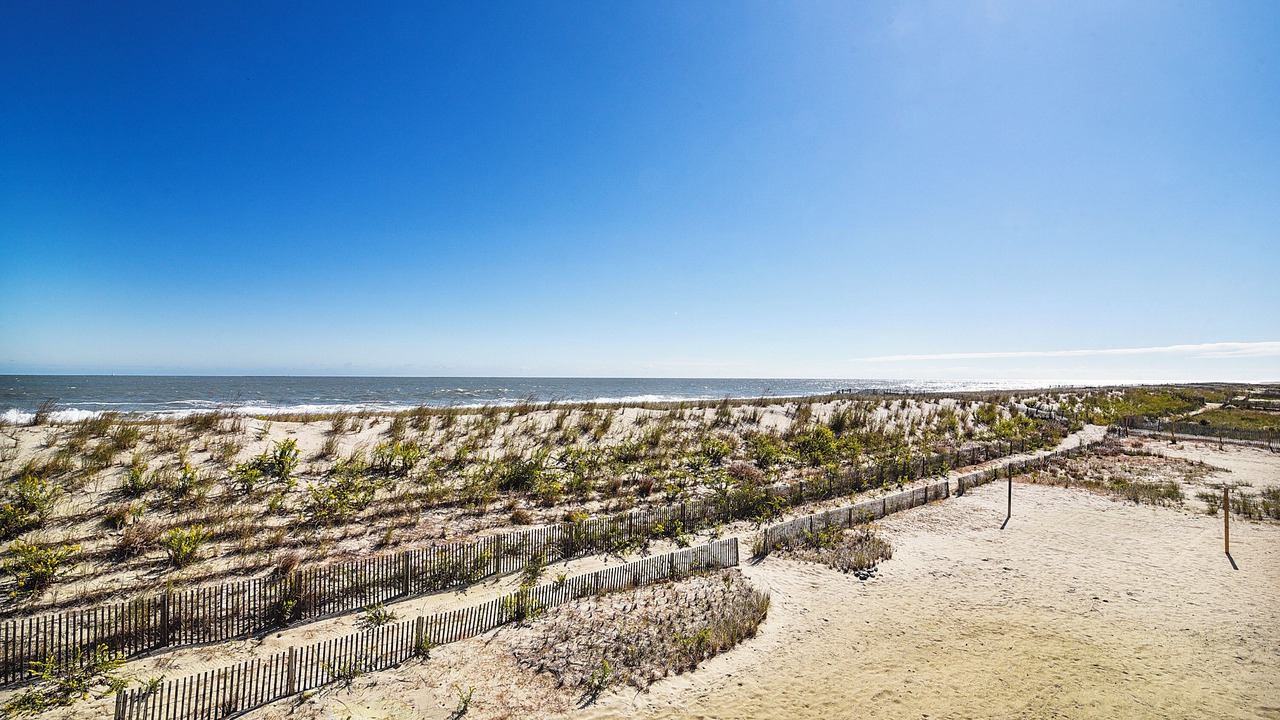 Photo of Others in South Bethany