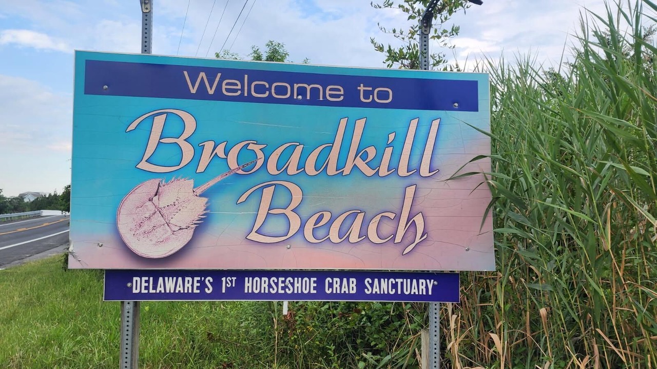 Photo of Others in Broadkill Beach
