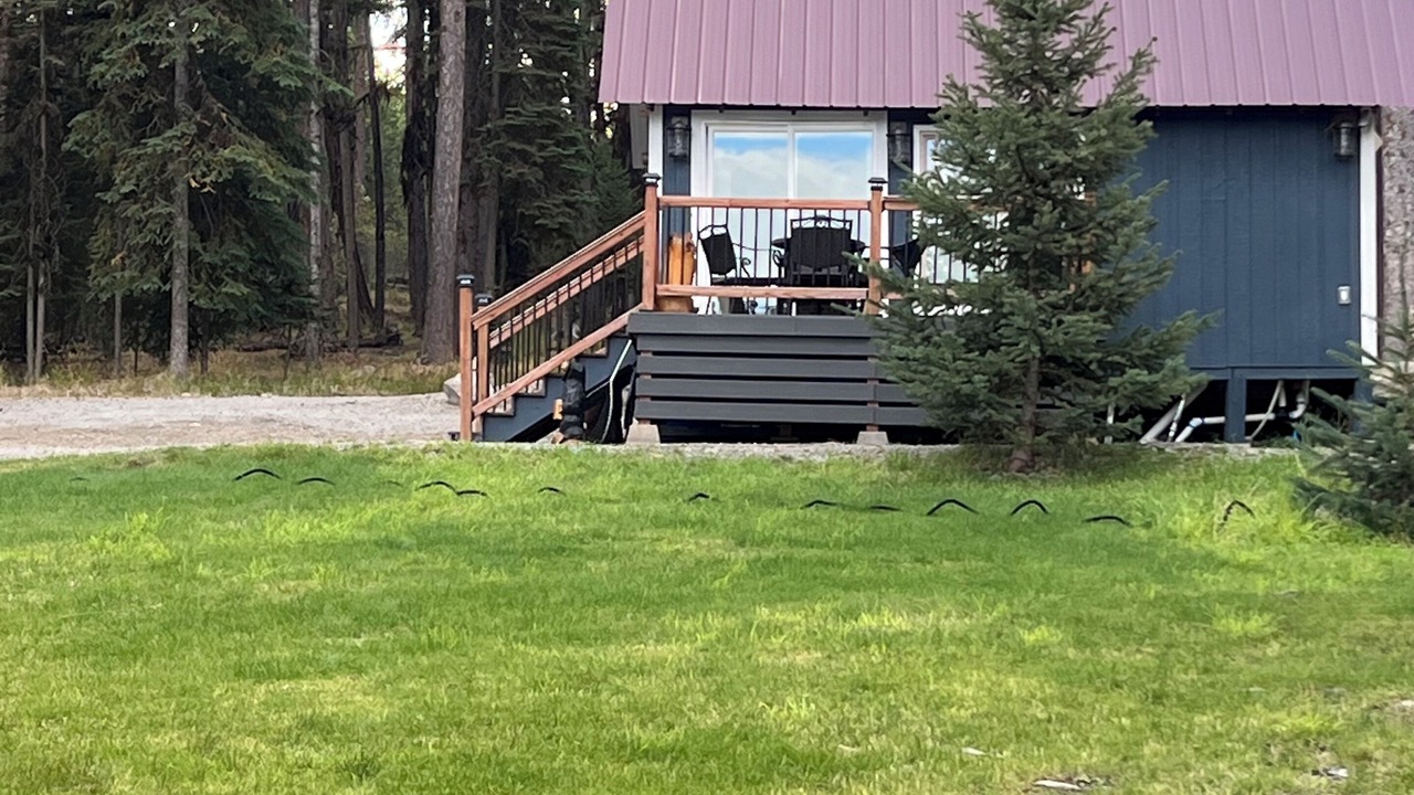 Photo of Others in Marion
