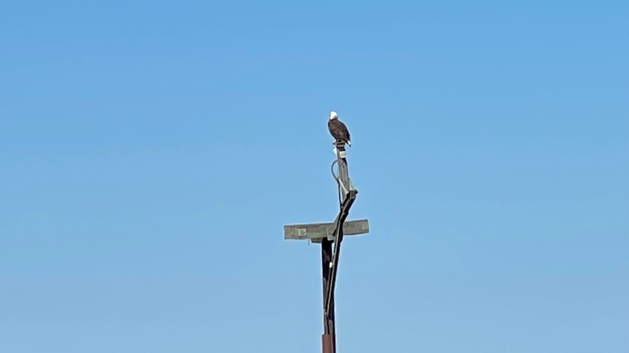 Photo of Others in Fishing Creek