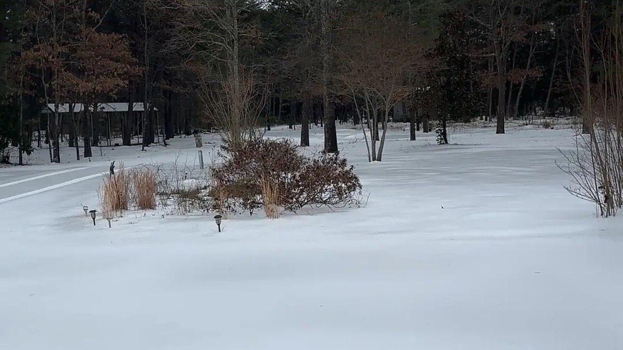 Photo of Others in Colonial Beach