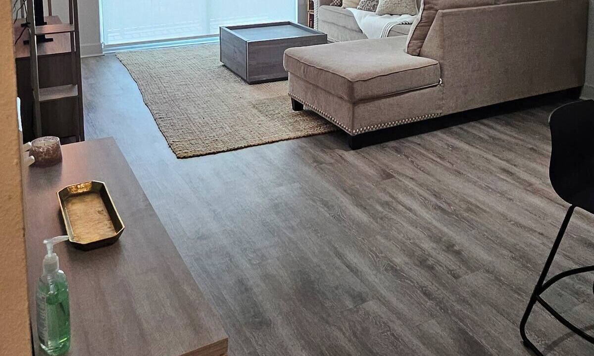 Photo of Livingroom in Allapattah