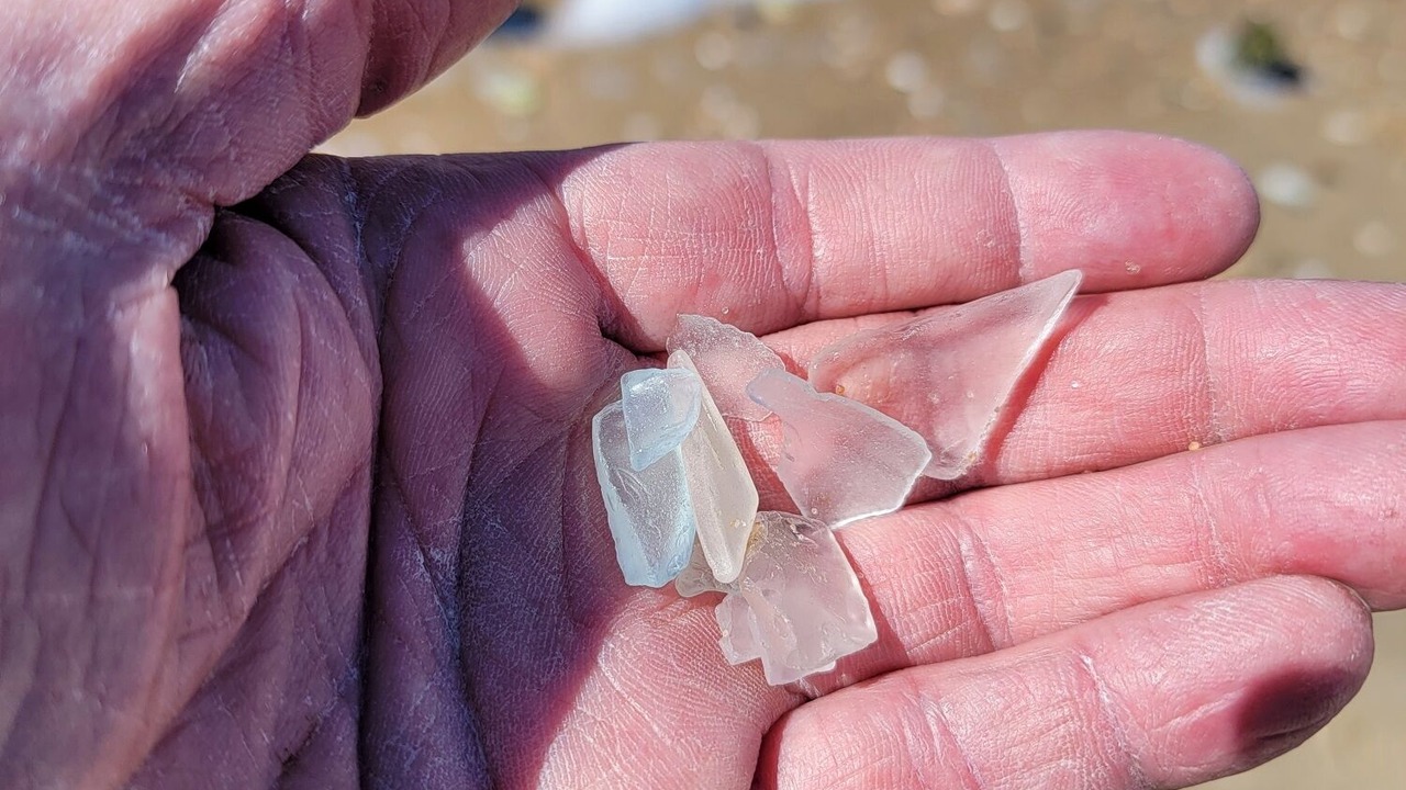 Photo of Others in Deal Island