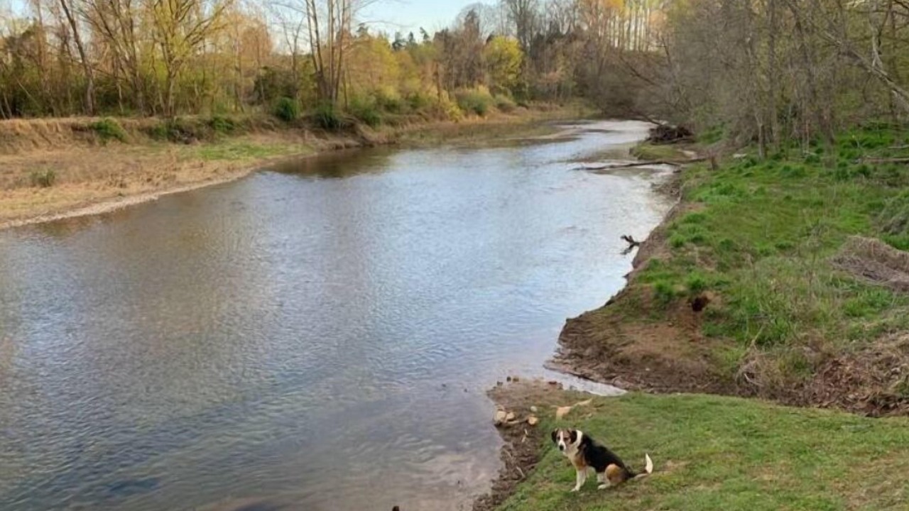 Photo of Others in Rochelle