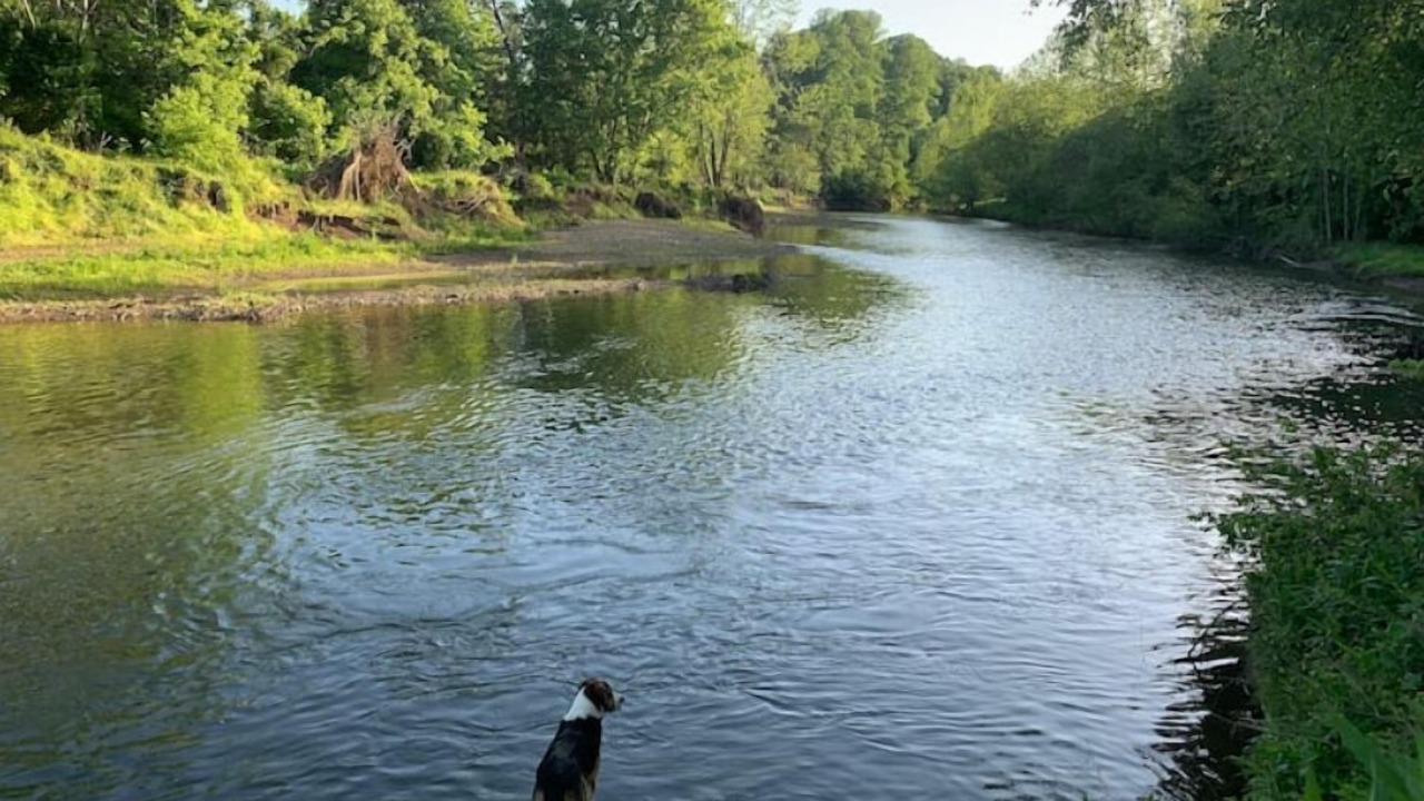 Photo of Others in Rochelle