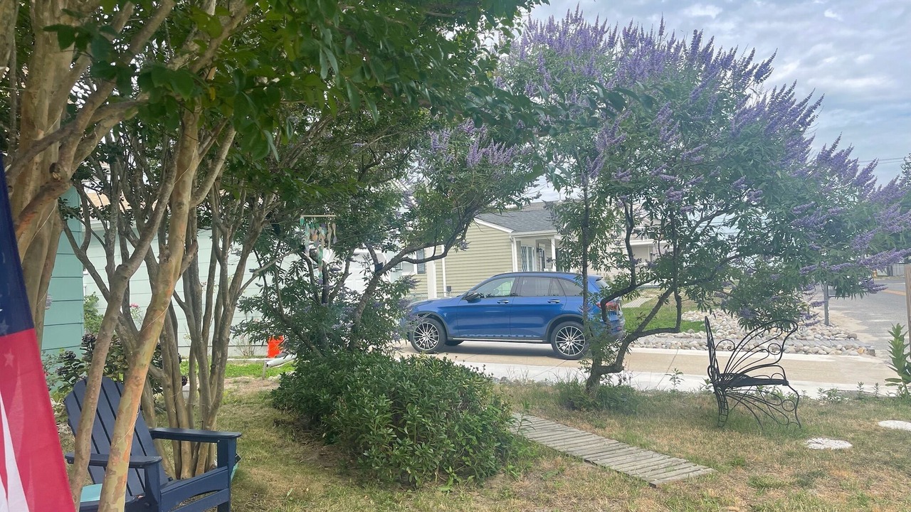 Photo of Outdoor in Villas