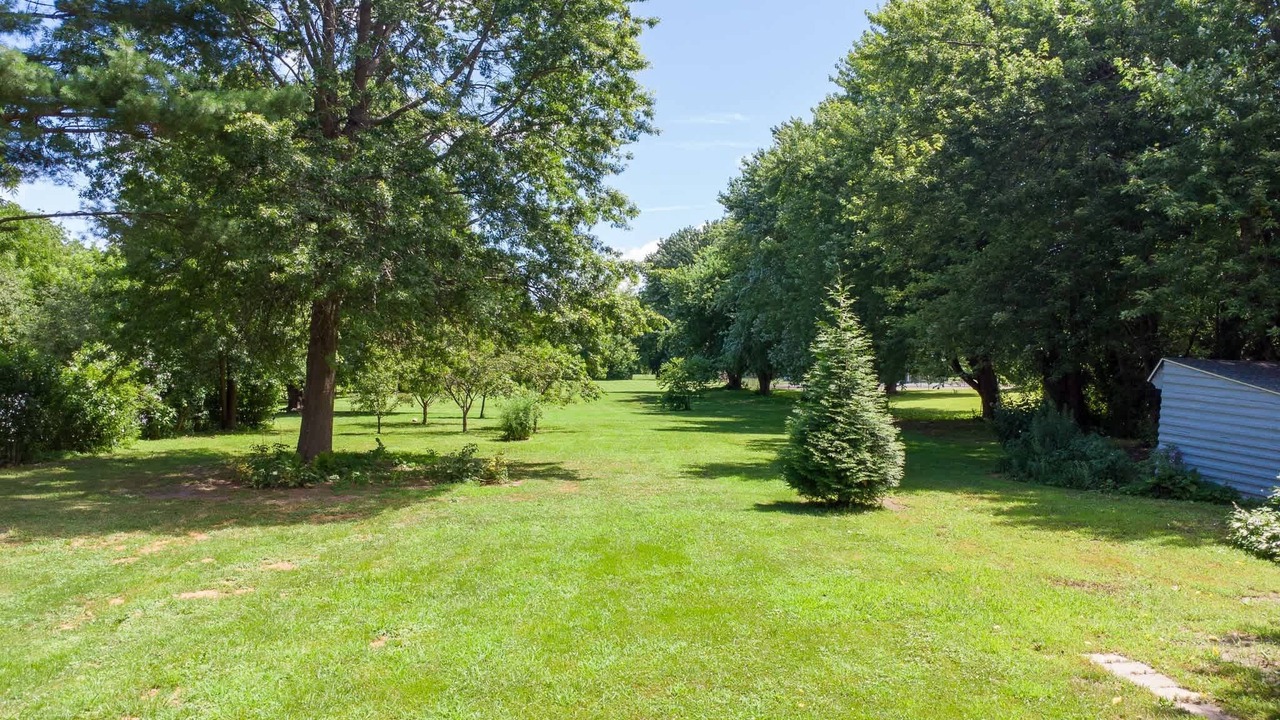Photo of Outdoor in Kingston