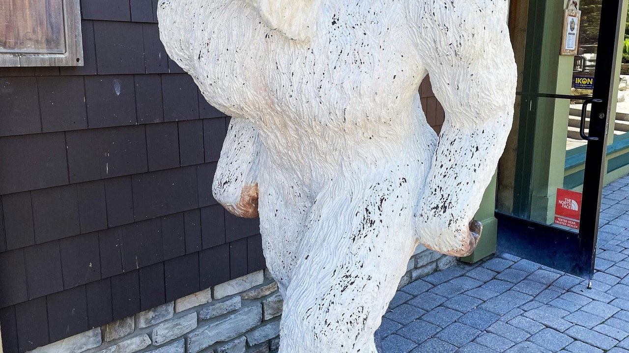 Photo of Others in Snowshoe