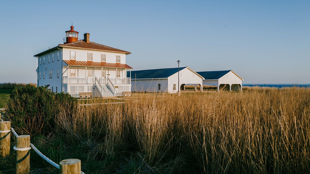 Photo of Others in Point Lookout