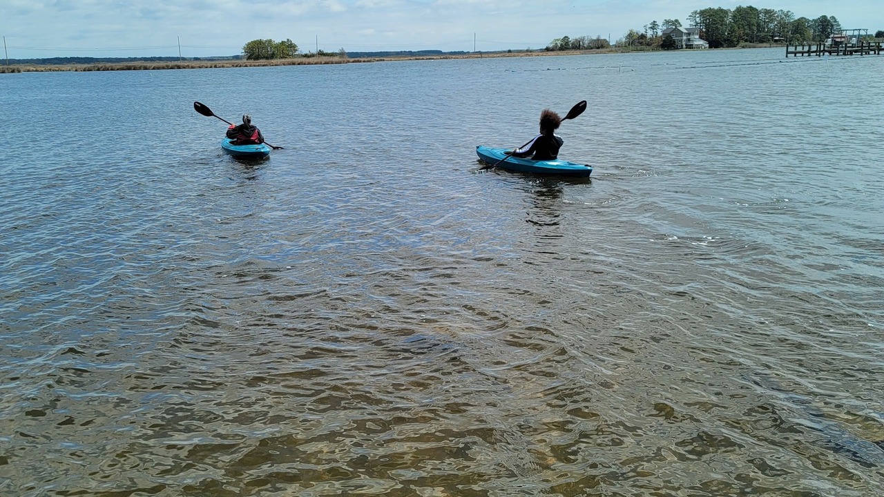 Photo of Others in Piney Point