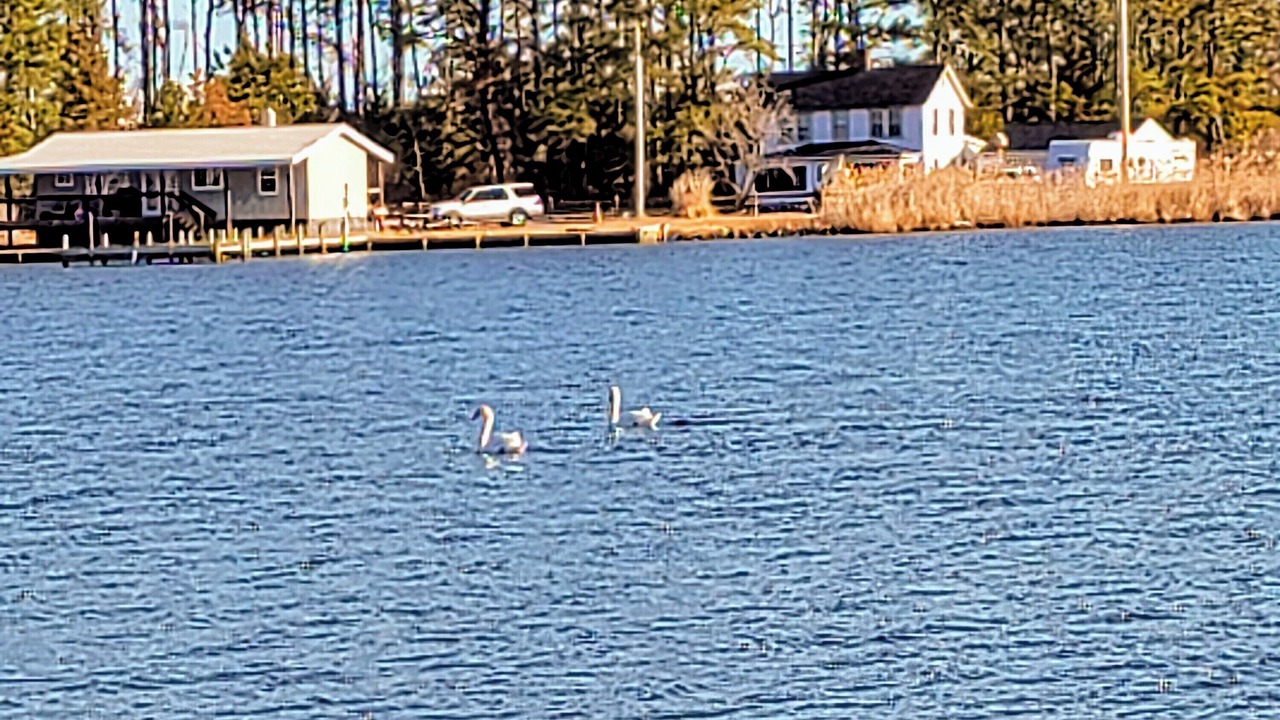 Photo of Others in Piney Point