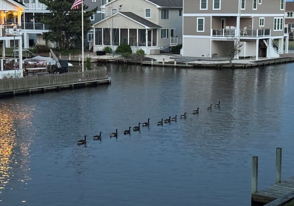 Photo of Others in South Bethany Harbor