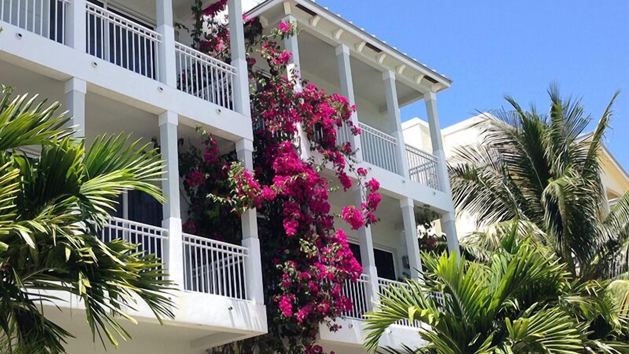 Photo of Outdoor in North Beach