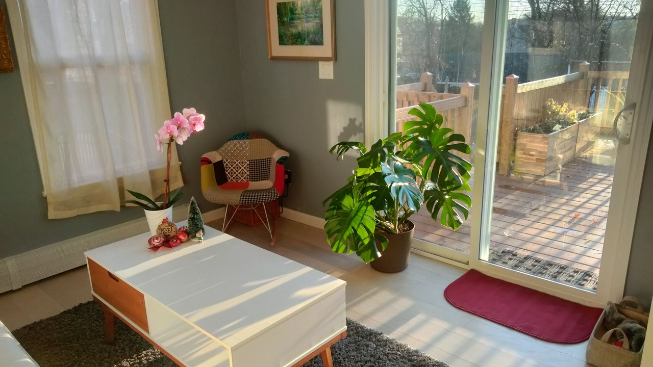 Photo of Livingroom in Montclair