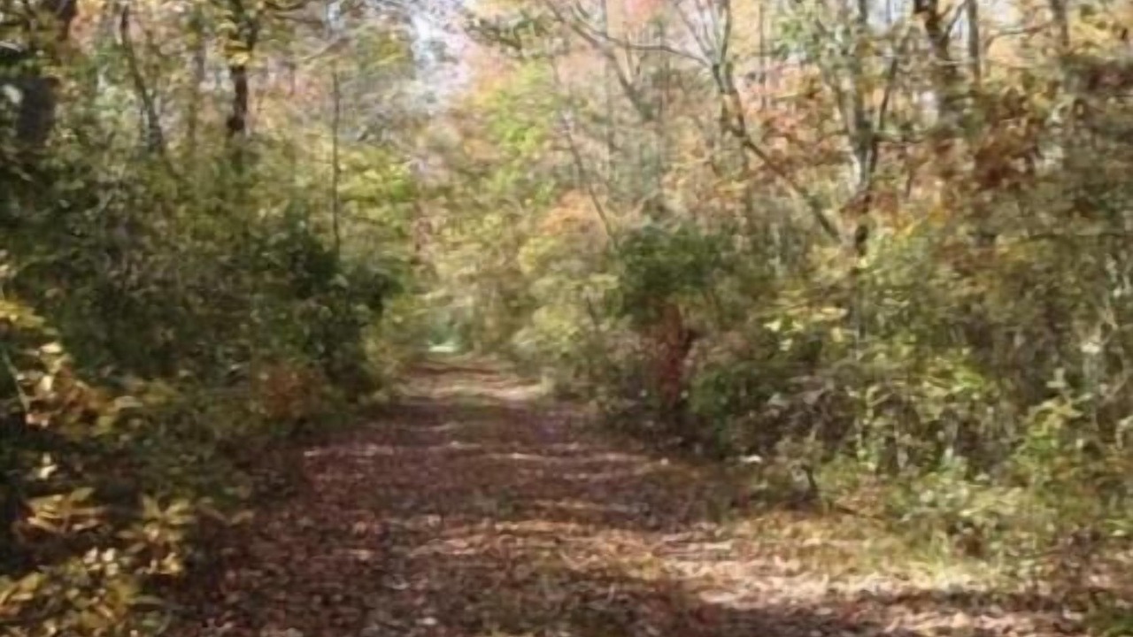 Photo of Others in Millville