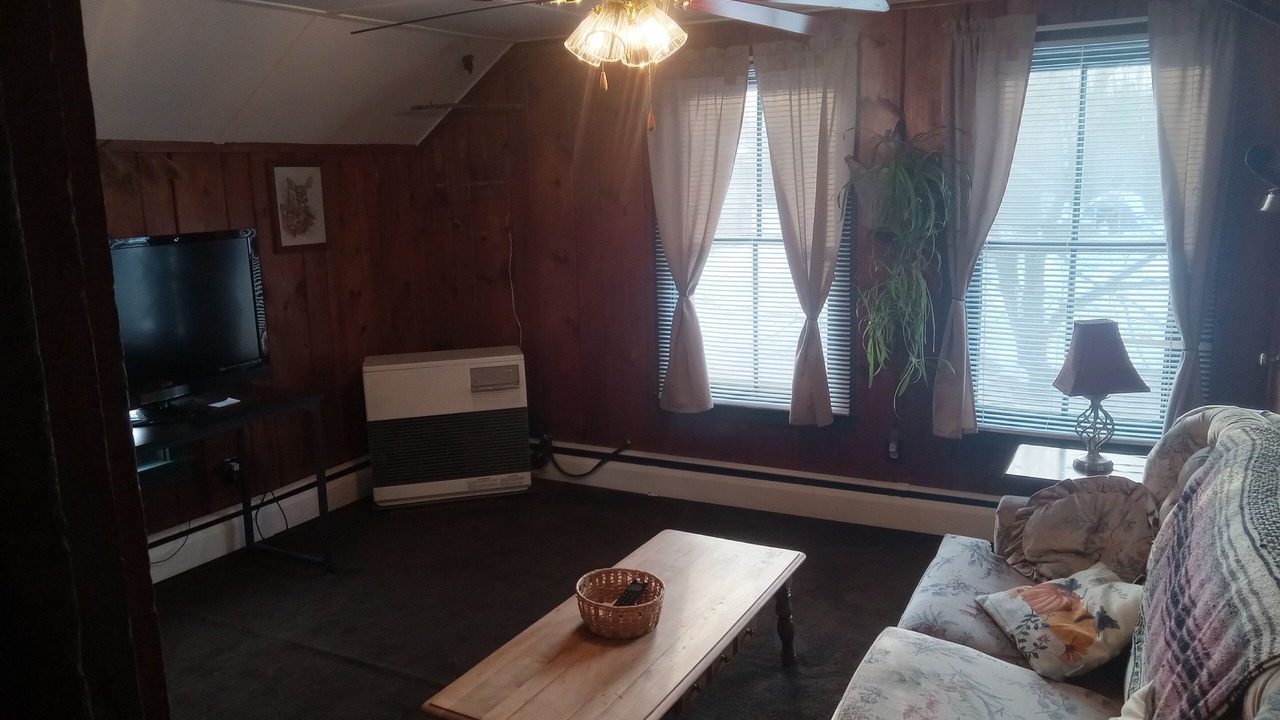Photo of Livingroom in Indian Lake