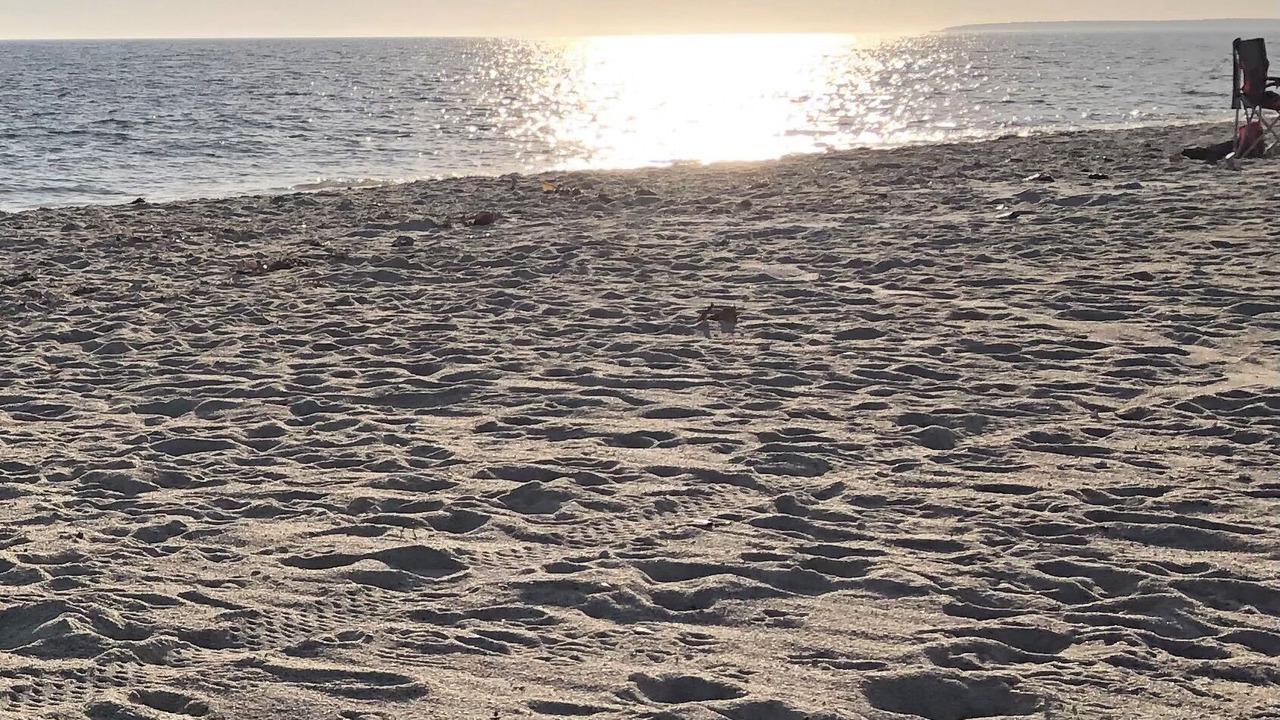 Photo of Others in South Yarmouth