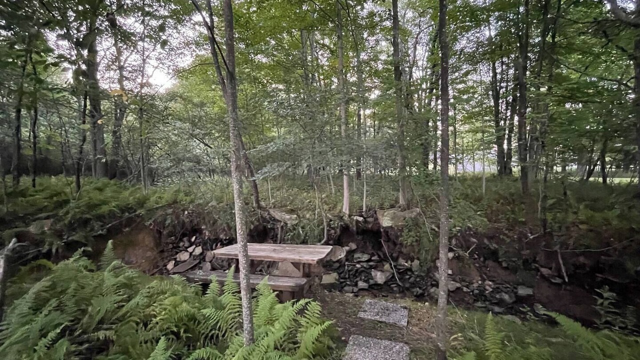 Photo of Outdoor in Accident