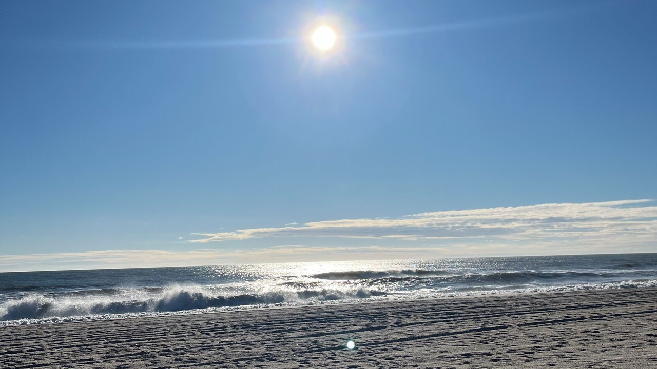 Photo of Others in Surf City