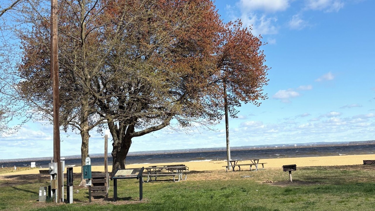 Photo of Others in Betterton