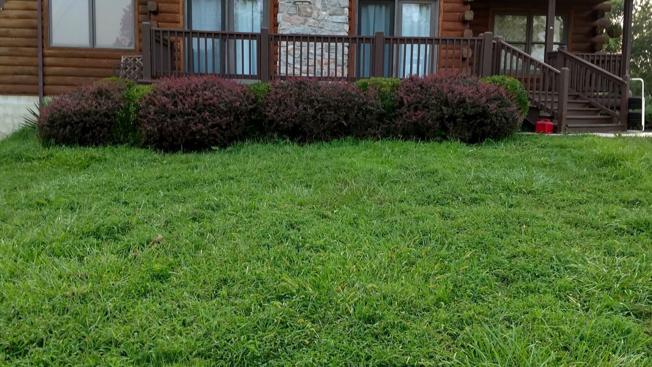 Photo of Outdoor in Elkton