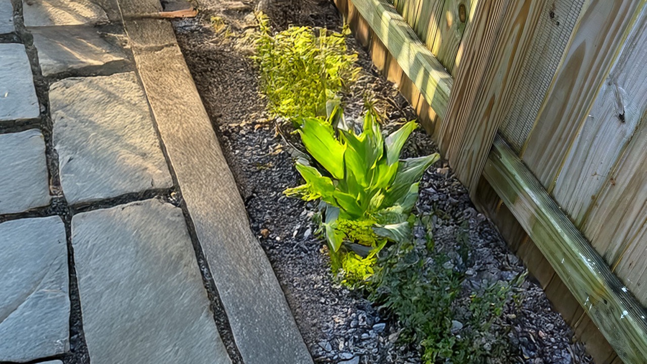 Photo of Outdoor in Hallandale Beach