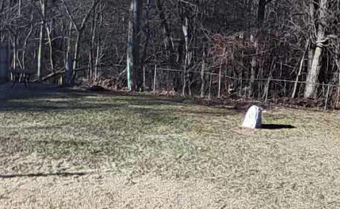 Photo of Others in Saugerties South