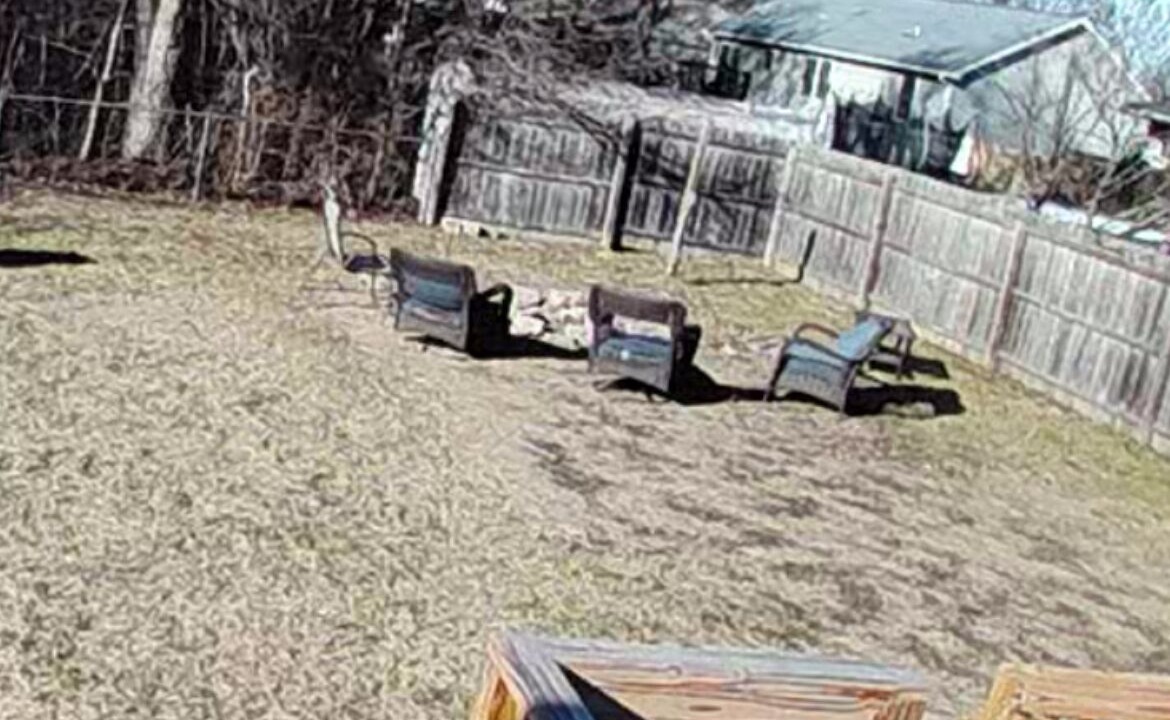 Photo of Outdoor in Saugerties South