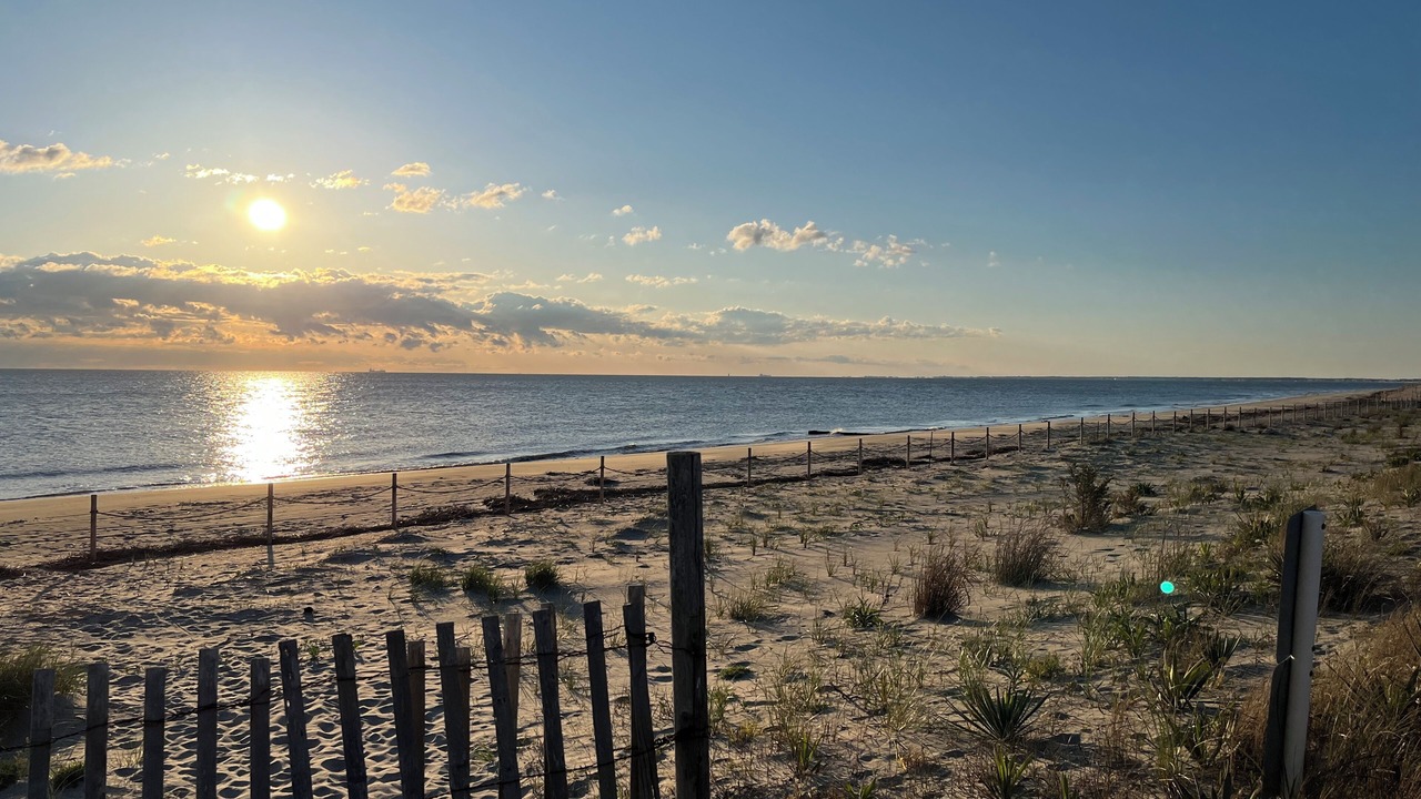 Photo of Others in Broadkill Beach