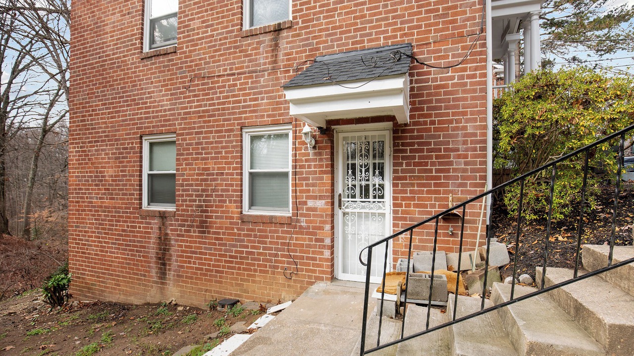 Photo of Outdoor in Takoma Park