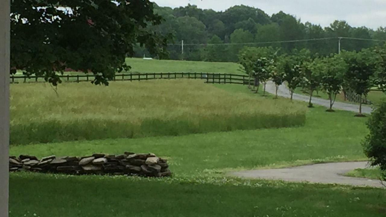 Photo of Others in Mechanicsville