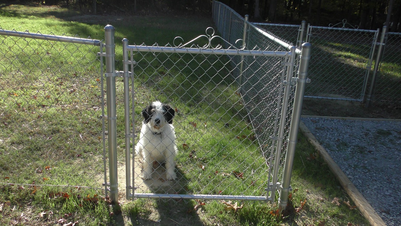 Photo of Outdoor in Mosby