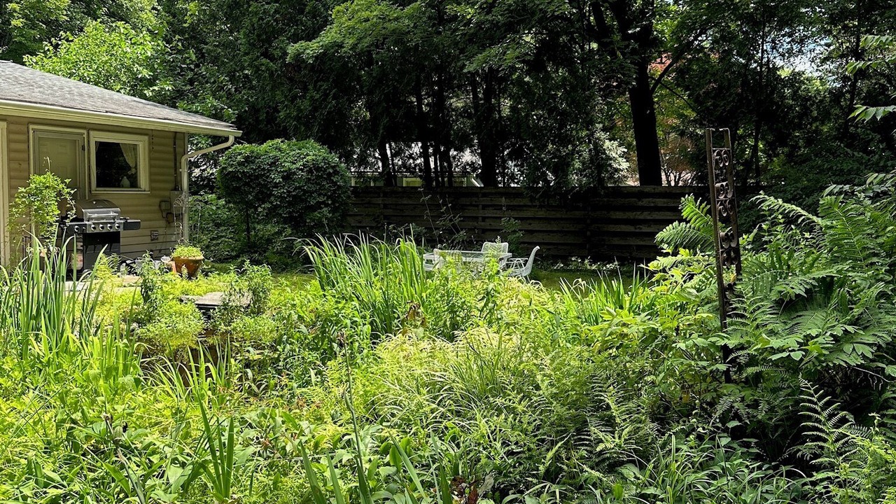 Photo of Outdoor in Woodstock