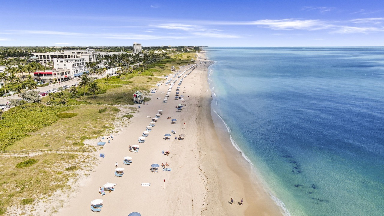 Photo of Others in Delray Beach