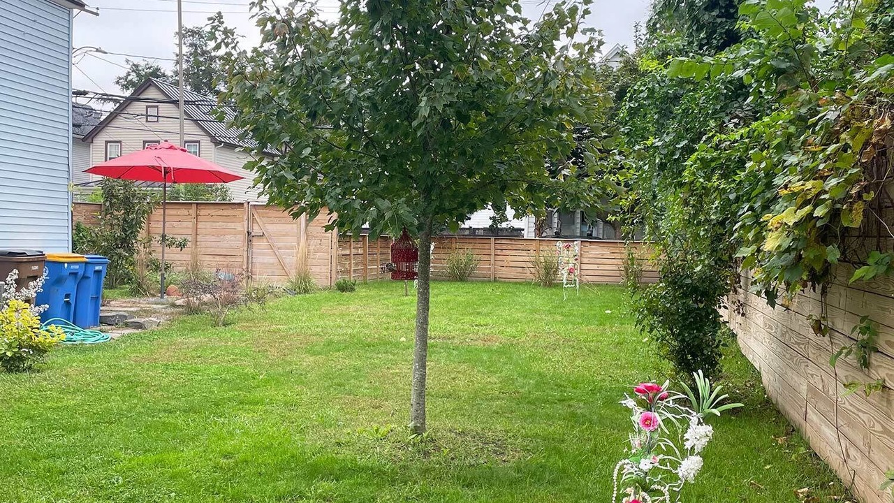 Photo of Outdoor in Kingston