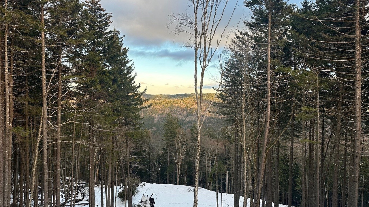Photo of Others in Edray