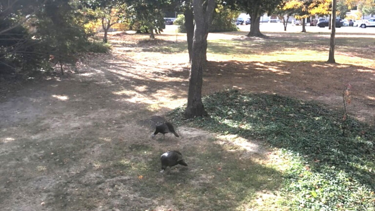 Photo of Others in Lower Township