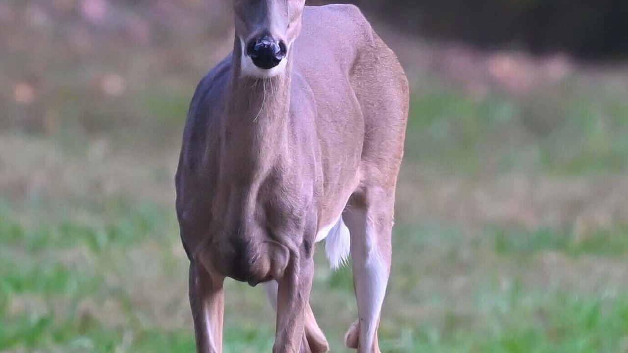 Photo of Others in Glen Allen